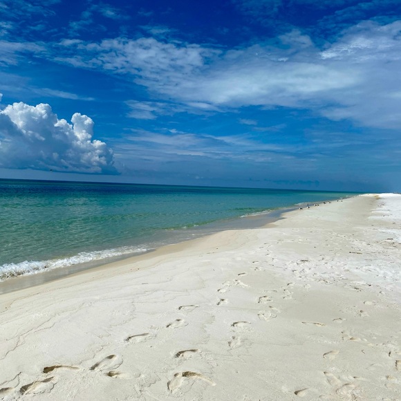 Meet your Posher, Tristan - Picture 1 of 1